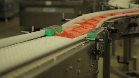 Red fish factory Stock Footage 80773421