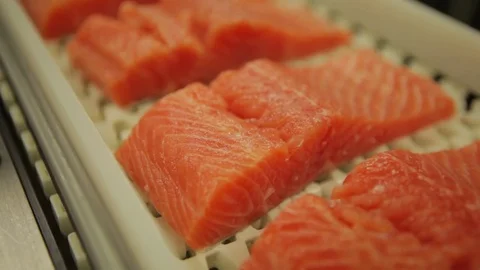 Red fish factory Stock Footage 80773440