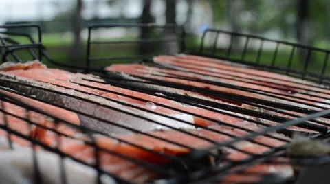 Red fish is fried on the grill Stock Footage 56647924