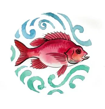 Red fish Stock Illustration