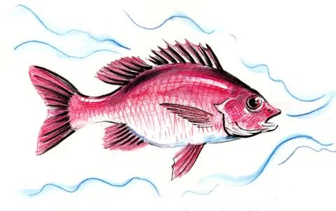 Red fish Illustrazione stock