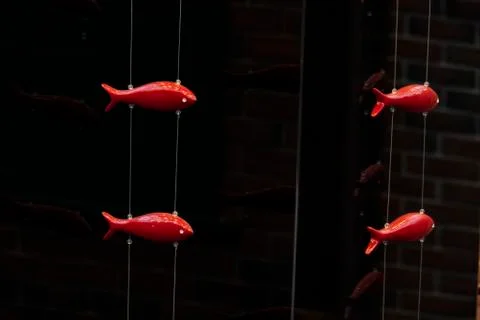 Red fish made of plastic on thin threads stretched along the wall. Stock Photos
