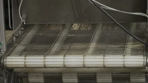 Red fish moves along a conveyor line in a factory Stock Footage 253543667
