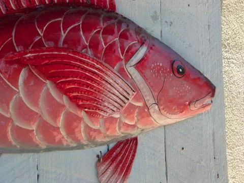 Red Fish Stock Photos