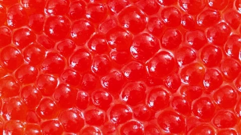 Red fish salmon caviar Stock-Footage 166858411