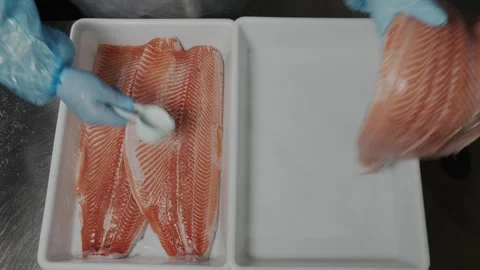 Red fish is salted in production Stock Footage 253542842
