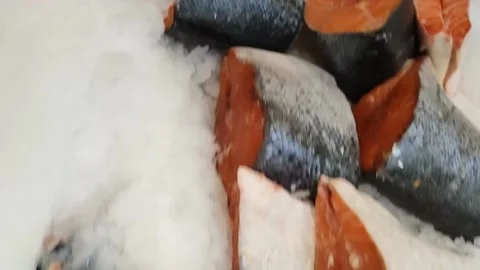 Red fish in the shop window Stock Footage 220606197