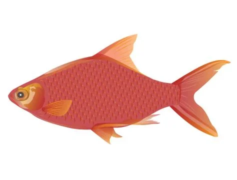 Red fish vector design Stock Illustration