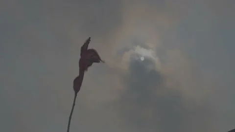 Red flag and sun shot in varanasi Stock Footage 220765914