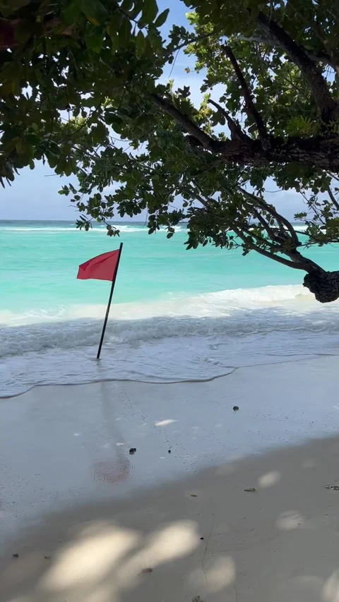 Red flag and waves on Silhouette island, Seychelles Stock Footage 241063023