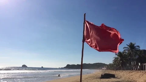 Red flag in the beach Stock Footage 84806614