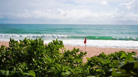 Red flag on the beach  Stock Footage 156338132