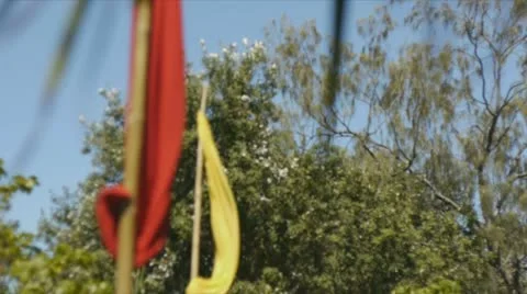 Red Flag Video stock 12587094