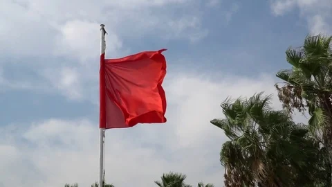 Red flag with palm trees at the background. 4x slow motion Stock Footage 80058051