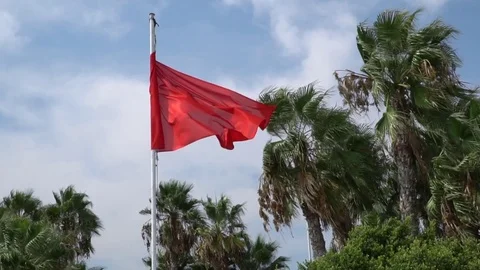 Red flag with palm trees at the background. 4x slow motion Stock Footage 80062706