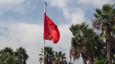 Red flag with palm trees at the background Stock Footage 80068692