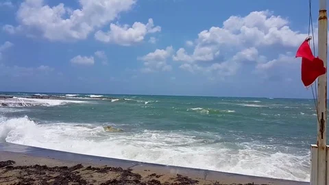 Red flag by the sea Video stock 76574407