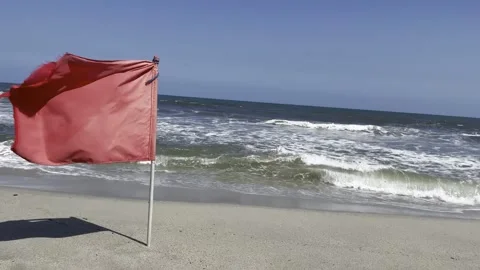 Red flag surf Vidéo 254640684