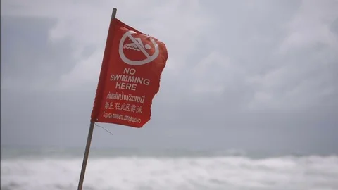 Red flag warning during a hurricane Video stock 79861316