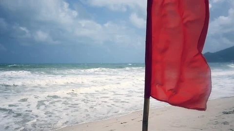 A red flag warning sign of danger stands on the seashore and develops in the 動画素材 86732913