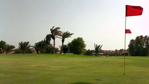 Red flag waving in the golf course Stock Footage 81231558
