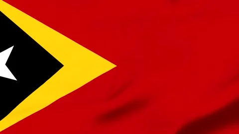 Red flag with yellow triangle and white star symbol 库存影片 343573213