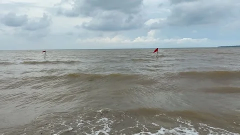 Red flags on the beach Stock Footage 294851651