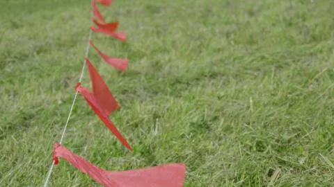 Red flags fluttering in the wind, against a background of green grass Foto stock