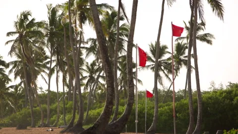 Red flags fluttering in the wind on the beach. Stock Footage 138458974