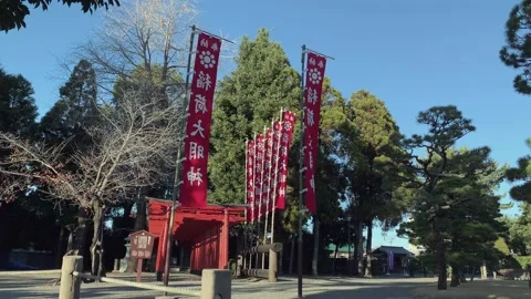 Red flags fly in the wind at the entrance to a Japanese temple Stock Footage 167111323