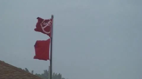 Red Flags: NO SWIMMING Stock Footage 8839584