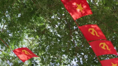 Red flags swaying gently in the breeze. Stock Footage 276896538
