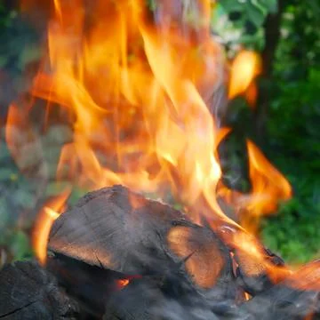 Red flame and ash over burning firewood outside Stock Photos