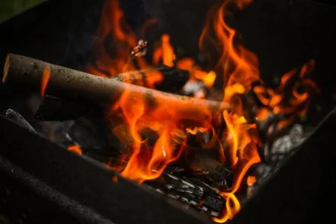 Red flame from a cut of a tree, dark gray coals inside a metal brazier. Firew Stock Photos
