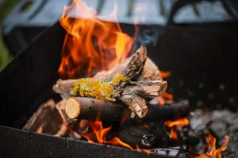 Red flame from a cut of a tree, dark gray coals inside a metal brazier. Firew Stock Photos