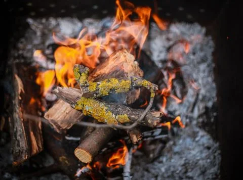 Red flame from a cut of a tree, dark gray coals inside a metal brazier. Firew Foto stock