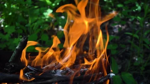 Red flame of a dying fire on a summer day. slow motion Stock Footage 135435648