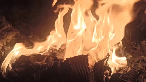 Red flame Video stock 255038186