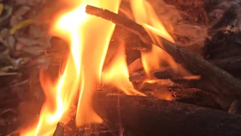 Red flame Vídeo Stock 259135322