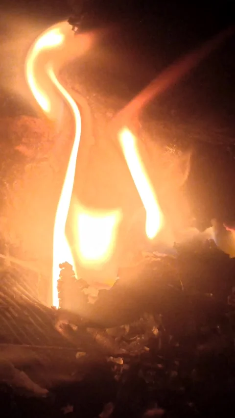 Red flame Vídeo Stock 259141276
