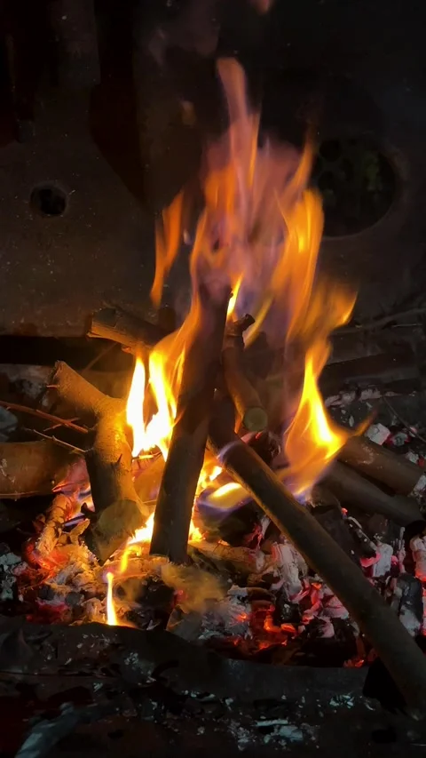 The red flame of the hearth in the dark. Stock Footage 318824576