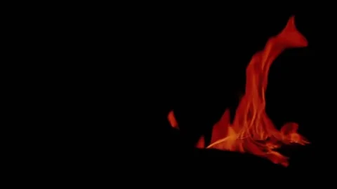 Red flames in darkness close-up Vídeo Stock 76687886