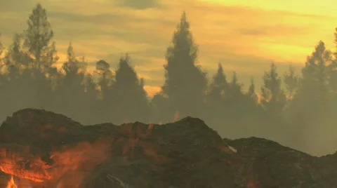 Red flames from Forest Fire Video stock 711341