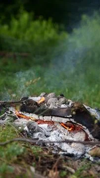 Red flames of teepee campfire on the ground at campsite in wild at overcast, Stock Photos