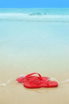 Red flip flops on the beach Fotos Stock