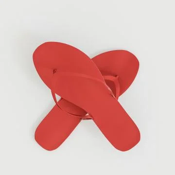 Red flip flops Stock Illustration