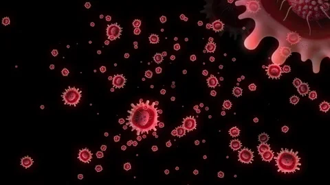 Red floating bacteria isolated on black background Video stock 263978380
