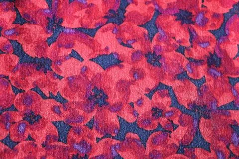 Red floral pattern blue background on fabric background cotton t-shirts photo. Stock Photos