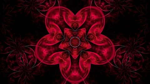 Red flower on a black background, animation Stock Footage 167094946