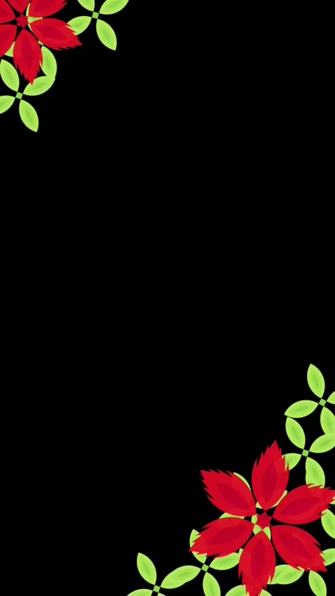 Red flower black screen Stock-Footage 302776676
